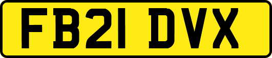 FB21DVX