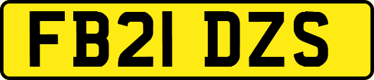 FB21DZS