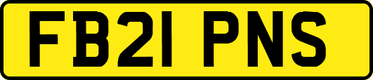 FB21PNS