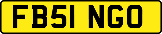 FB51NGO