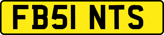 FB51NTS