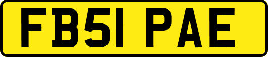 FB51PAE