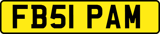FB51PAM