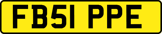 FB51PPE