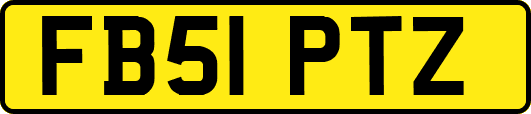 FB51PTZ
