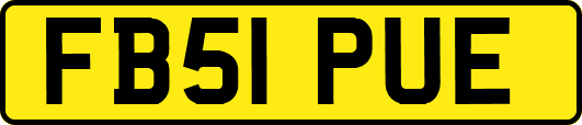 FB51PUE