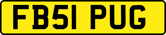 FB51PUG