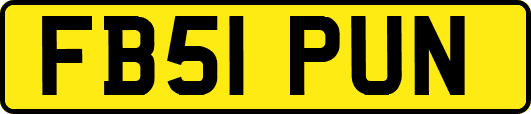 FB51PUN
