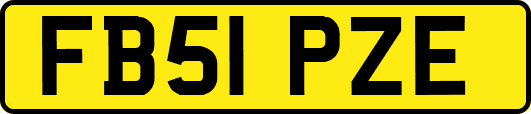 FB51PZE