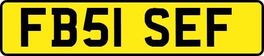 FB51SEF