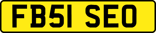FB51SEO