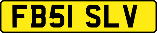 FB51SLV