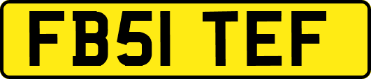 FB51TEF