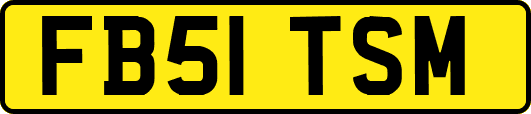 FB51TSM