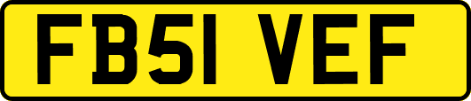 FB51VEF