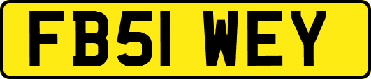 FB51WEY