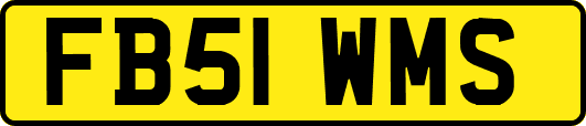 FB51WMS