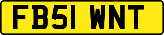 FB51WNT