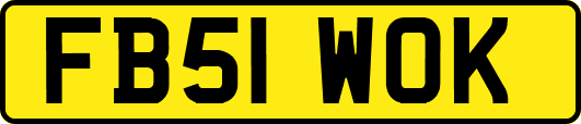 FB51WOK