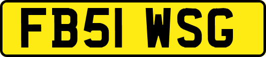 FB51WSG