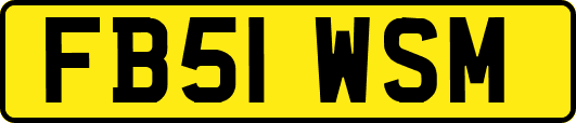 FB51WSM