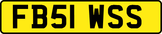 FB51WSS