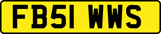 FB51WWS
