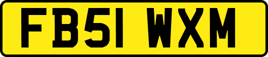 FB51WXM