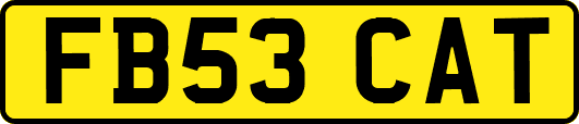 FB53CAT