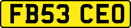 FB53CEO