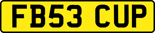 FB53CUP