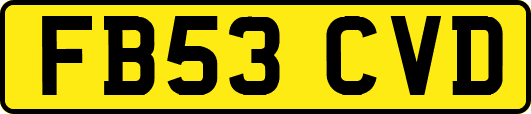FB53CVD