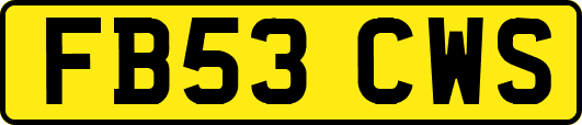 FB53CWS