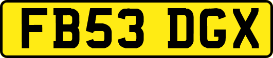 FB53DGX