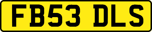 FB53DLS