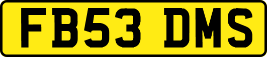 FB53DMS