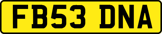 FB53DNA