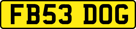 FB53DOG