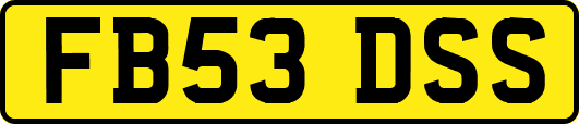 FB53DSS