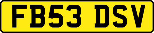 FB53DSV