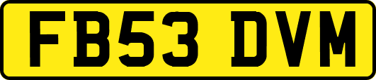 FB53DVM