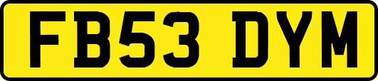 FB53DYM