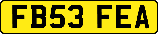 FB53FEA