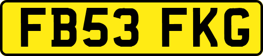 FB53FKG