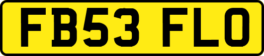 FB53FLO