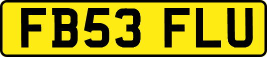 FB53FLU