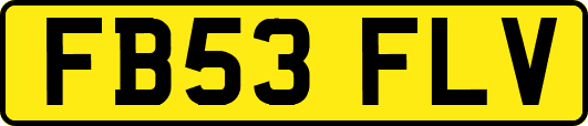 FB53FLV