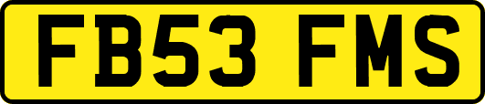 FB53FMS