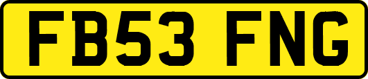 FB53FNG