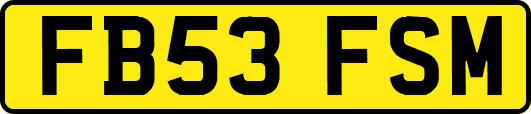 FB53FSM